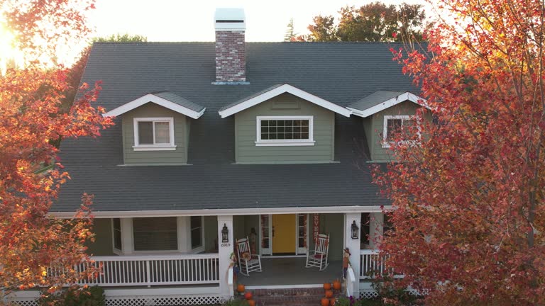 Best Roof Maintenance and Cleaning  in Shokan, NY
