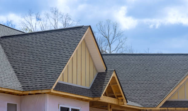 Best Roof Waterproofing  in Shokan, NY