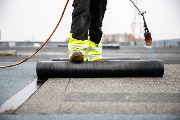 Best Roof Moss and Algae Removal  in Shokan, NY